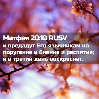 Picture 02 - Матфея 20:19 RUSV - и предадут Его язычникам - Bible Verse Picture