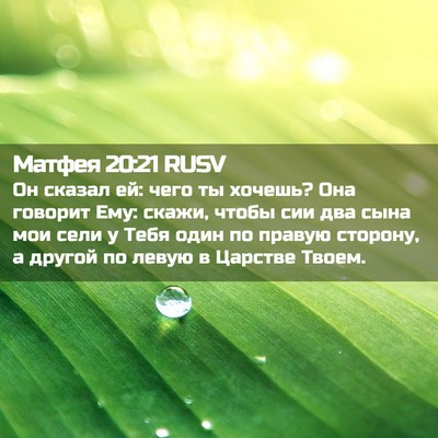 Picture 02 - Матфея 20:21 RUSV - Он сказал ей: чего ты - Bible Verse Picture