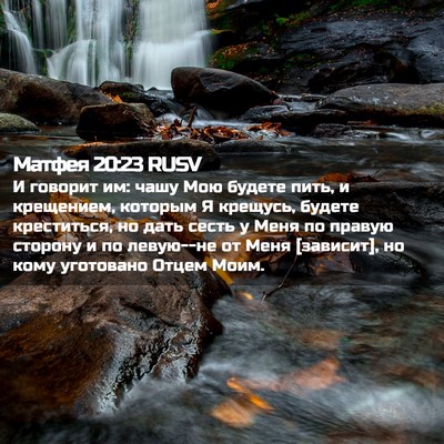 Picture 02 - Матфея 20:23 RUSV - И говорит им: чашу Мою - Bible Verse Picture