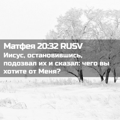 Picture 02 - Матфея 20:32 RUSV - Иисус, остановившись, - Bible Verse Picture