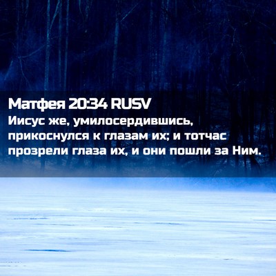 Picture 02 - Матфея 20:34 RUSV - Иисус же, умилосердившись, - Bible Verse Picture