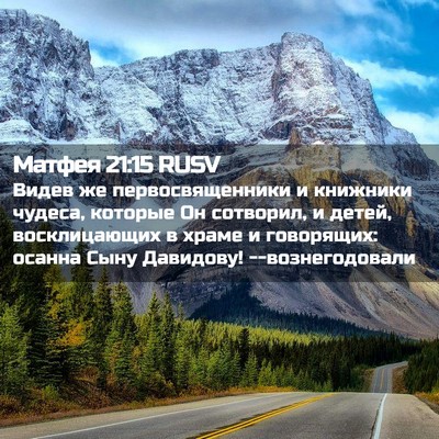 Picture 02 - Матфея 21:15 RUSV - Видев же первосвященники и - Bible Verse Picture