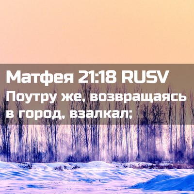 Picture 02 - Матфея 21:18 RUSV - Поутру же, возвращаясь в - Bible Verse Picture