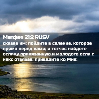Picture 02 - Матфея 21:2 RUSV - сказав им: пойдите в - Bible Verse Picture