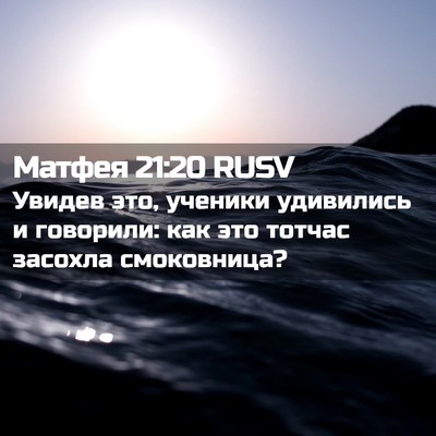 Picture 02 - Матфея 21:20 RUSV - Увидев это, ученики - Bible Verse Picture