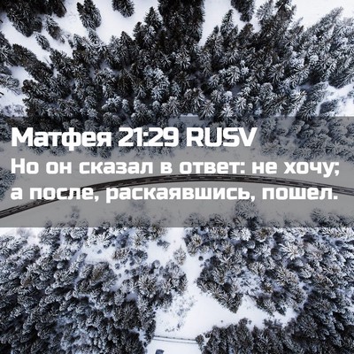 Picture 02 - Матфея 21:29 RUSV - Но он сказал в ответ: не - Bible Verse Picture