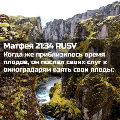 Picture 02 - Матфея 21:34 RUSV - Когда же приблизилось - Bible Verse Picture
