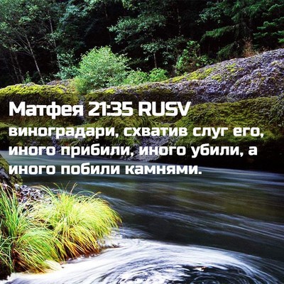 Picture 02 - Матфея 21:35 RUSV - виноградари, схватив слуг - Bible Verse Picture