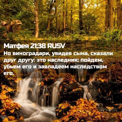 Picture 02 - Матфея 21:38 RUSV - Но виноградари, увидев - Bible Verse Picture