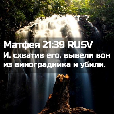 Picture 02 - Матфея 21:39 RUSV - И, схватив его, вывели вон - Bible Verse Picture