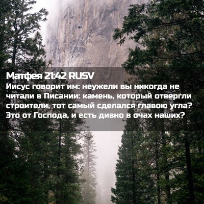 Picture 02 - Матфея 21:42 RUSV - Иисус говорит им: неужели - Bible Verse Picture