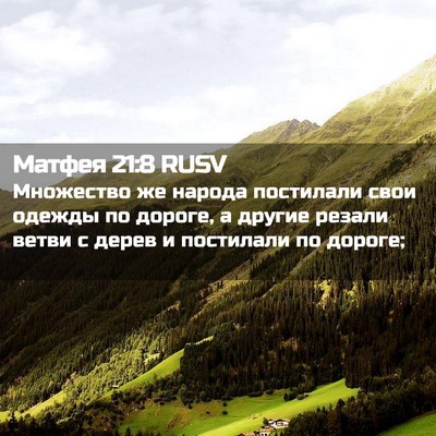 Picture 02 - Матфея 21:8 RUSV - Множество же народа - Bible Verse Picture