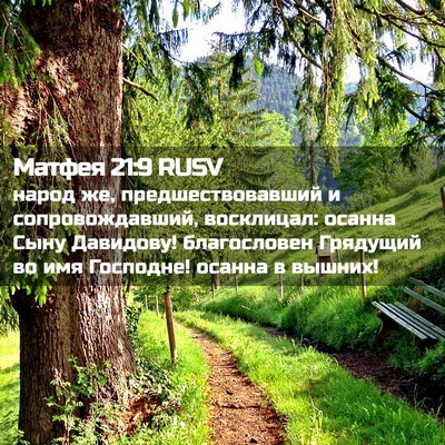 Picture 02 - Матфея 21:9 RUSV - народ же, предшествовавший - Bible Verse Picture