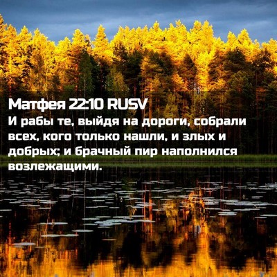 Picture 02 - Матфея 22:10 RUSV - И рабы те, выйдя на дороги, - Bible Verse Picture