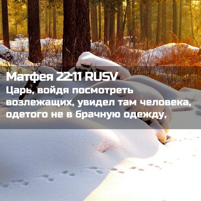 Picture 02 - Матфея 22:11 RUSV - Царь, войдя посмотреть - Bible Verse Picture