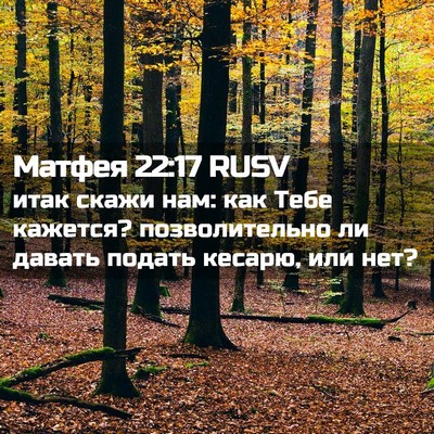 Picture 02 - Матфея 22:17 RUSV - итак скажи нам: как Тебе - Bible Verse Picture