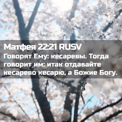 Picture 02 - Матфея 22:21 RUSV - Говорят Ему: кесаревы. - Bible Verse Picture