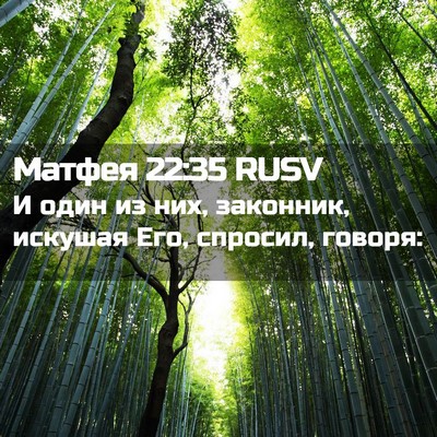 Picture 02 - Матфея 22:35 RUSV - И один из них, законник, - Bible Verse Picture