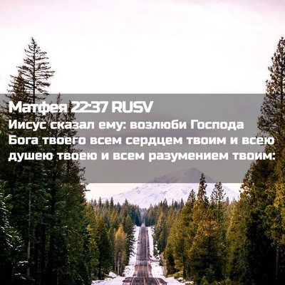 Picture 02 - Матфея 22:37 RUSV - Иисус сказал ему: возлюби - Bible Verse Picture