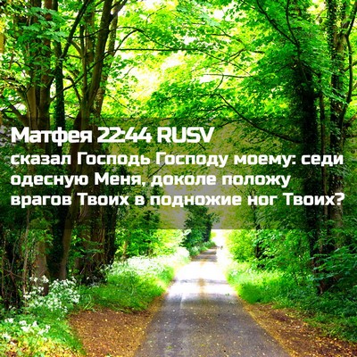 Picture 02 - Матфея 22:44 RUSV - сказал Господь Господу - Bible Verse Picture