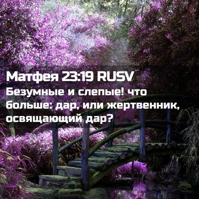 Picture 02 - Матфея 23:19 RUSV - Безумные и слепые! что - Bible Verse Picture