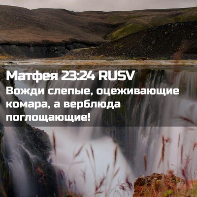 Picture 02 - Матфея 23:24 RUSV - Вожди слепые, оцеживающие - Bible Verse Picture
