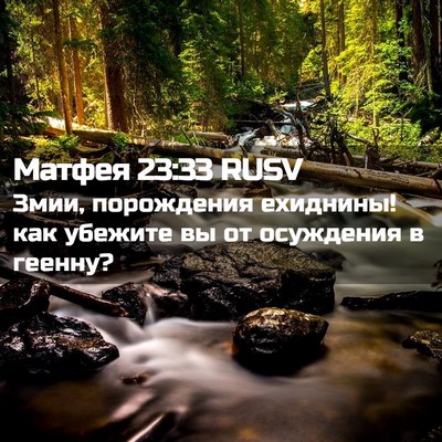 Picture 02 - Матфея 23:33 RUSV - Змии, порождения ехиднины! - Bible Verse Picture