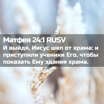 Picture 02 - Матфея 24:1 RUSV - И выйдя, Иисус шел от храма; - Bible Verse Picture