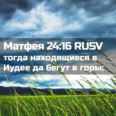 Picture 02 - Матфея 24:16 RUSV - тогда находящиеся в Иудее - Bible Verse Picture