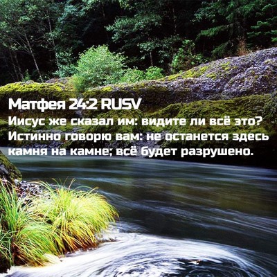 Picture 02 - Матфея 24:2 RUSV - Иисус же сказал им: видите - Bible Verse Picture