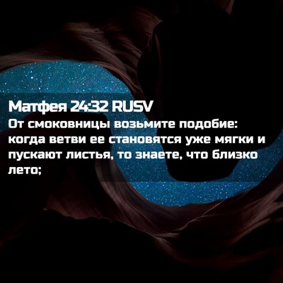 Picture 02 - Матфея 24:32 RUSV - От смоковницы возьмите - Bible Verse Picture