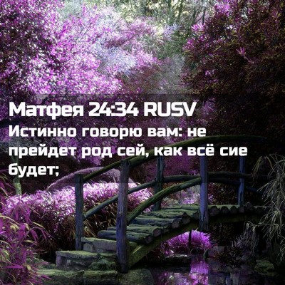 Picture 02 - Матфея 24:34 RUSV - Истинно говорю вам: не - Bible Verse Picture