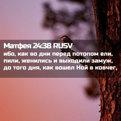 Picture 02 - Матфея 24:38 RUSV - ибо, как во дни перед - Bible Verse Picture