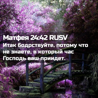 Picture 02 - Матфея 24:42 RUSV - Итак бодрствуйте, потому - Bible Verse Picture