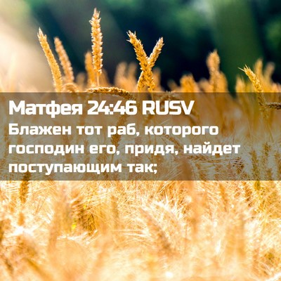 Picture 02 - Матфея 24:46 RUSV - Блажен тот раб, которого - Bible Verse Picture