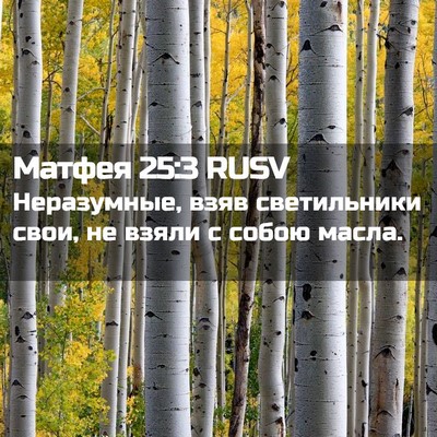 Picture 02 - Матфея 25:3 RUSV - Неразумные, взяв - Bible Verse Picture