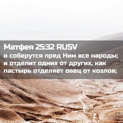 Picture 02 - Матфея 25:32 RUSV - и соберутся пред Ним все - Bible Verse Picture
