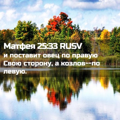 Picture 02 - Матфея 25:33 RUSV - и поставит овец по правую - Bible Verse Picture