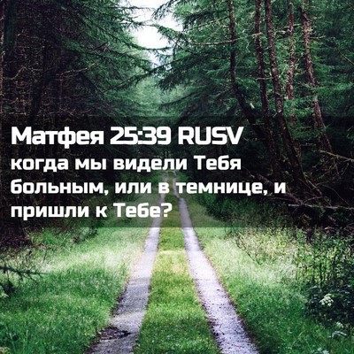 Picture 02 - Матфея 25:39 RUSV - когда мы видели Тебя - Bible Verse Picture