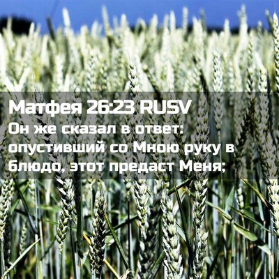 Picture 02 - Матфея 26:23 RUSV - Он же сказал в ответ: - Bible Verse Picture