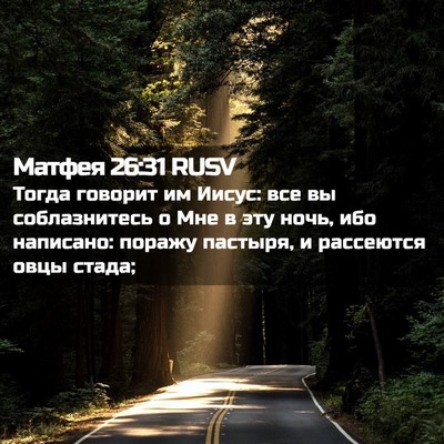 Picture 02 - Матфея 26:31 RUSV - Тогда говорит им Иисус: все - Bible Verse Picture