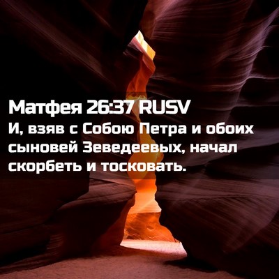 Picture 02 - Матфея 26:37 RUSV - И, взяв с Собою Петра и - Bible Verse Picture