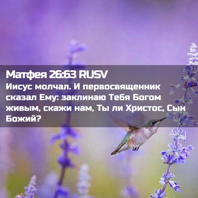 Picture 02 - Матфея 26:63 RUSV - Иисус молчал. И - Bible Verse Picture