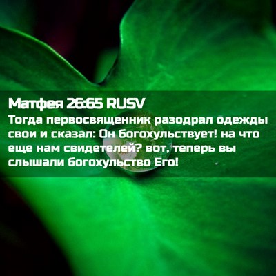 Picture 02 - Матфея 26:65 RUSV - Тогда первосвященник - Bible Verse Picture