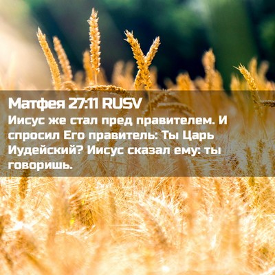 Picture 02 - Матфея 27:11 RUSV - Иисус же стал пред - Bible Verse Picture