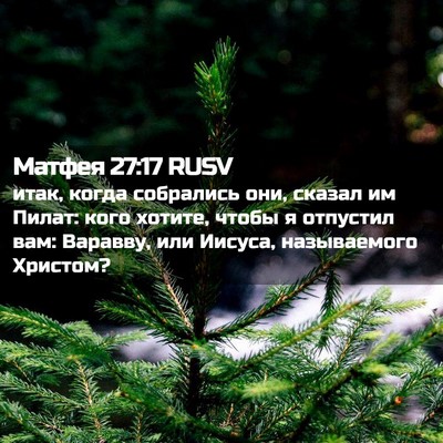 Picture 02 - Матфея 27:17 RUSV - итак, когда собрались они, - Bible Verse Picture