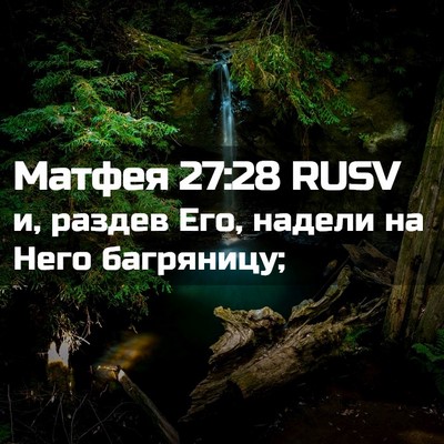 Picture 02 - Матфея 27:28 RUSV - и, раздев Его, надели на - Bible Verse Picture