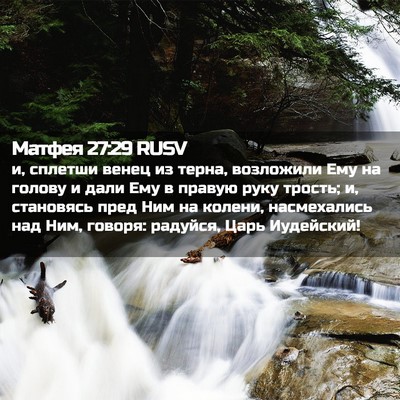 Picture 02 - Матфея 27:29 RUSV - и, сплетши венец из терна, - Bible Verse Picture