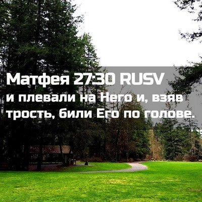 Picture 02 - Матфея 27:30 RUSV - и плевали на Него и, взяв - Bible Verse Picture