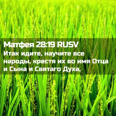 Picture 02 - Матфея 28:19 RUSV - Итак идите, научите все - Bible Verse Picture